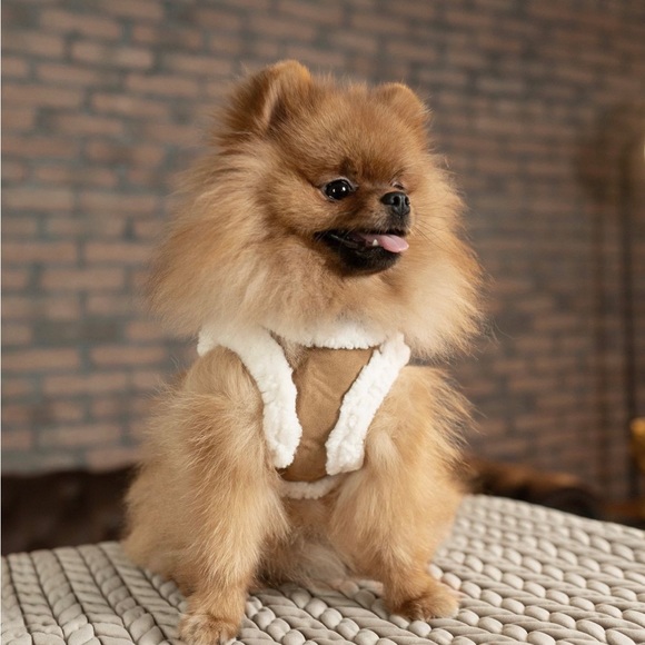 🌲🌲🎄🎁 Milk & Pepper XS Sherpa Dog Harness NWT - Picture 9 of 10